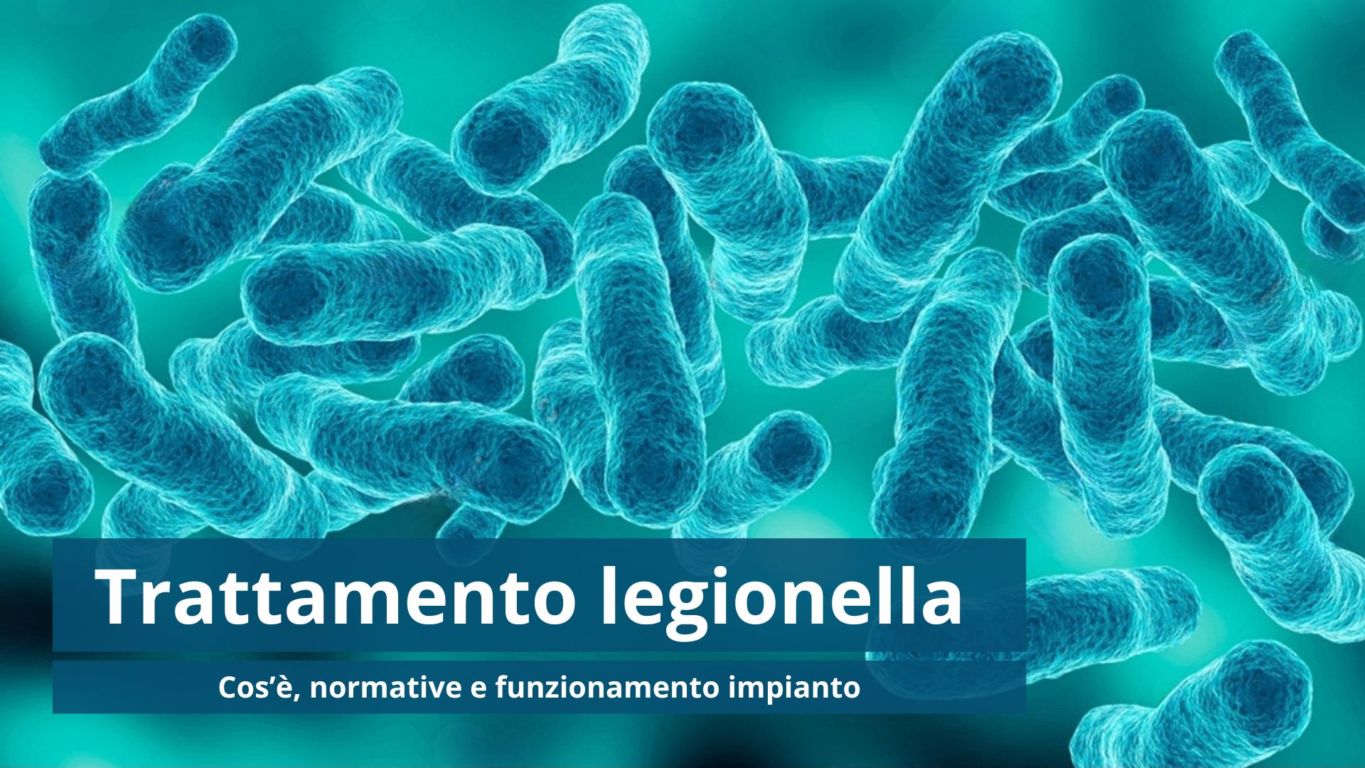 Legionella