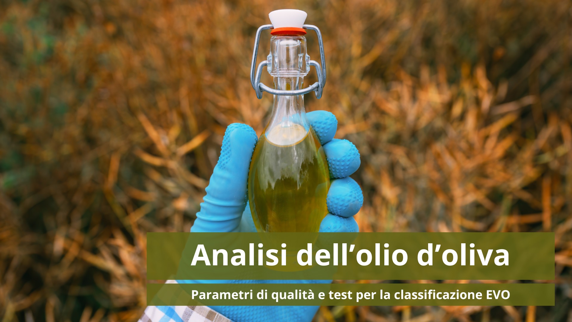 analisi dell'olio d'oliva